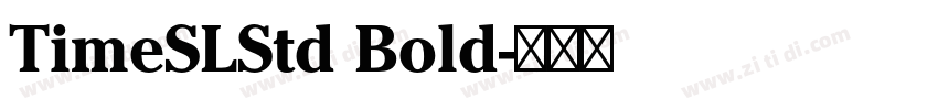 TimeSLStd Bold字体转换